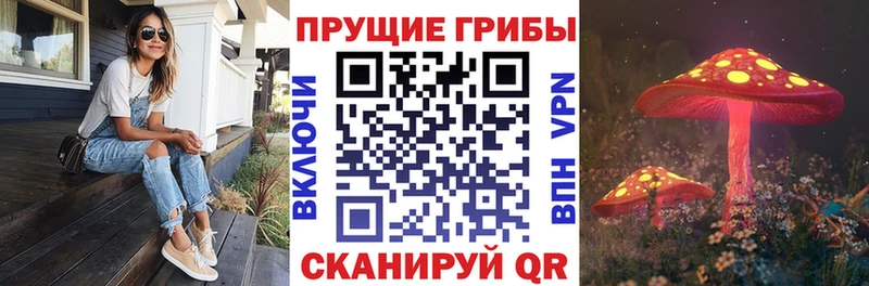 дарнет шоп Вытегра маркетплейс формула Псилоцибиновые грибы мицелий