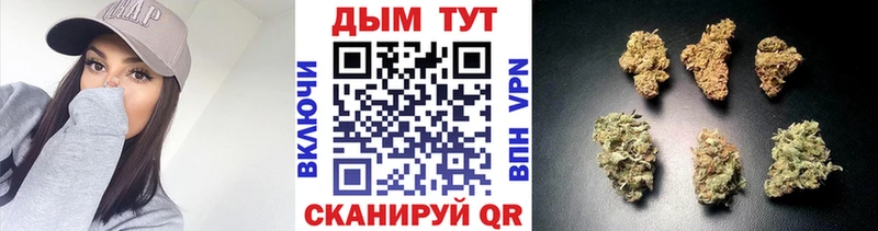 Бошки Шишки MAZAR  Вытегра 